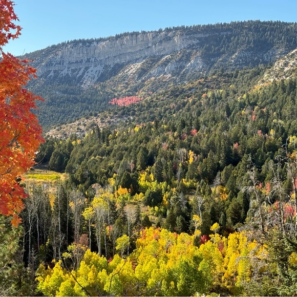 1-99 LIVE SHOW’S FRIDAYS 2-9PM MST! SUNDAYS 1PM-9PM MST! - Picture 9 of 13